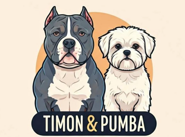 Timon&Pumba - Akcesoria dla zwierząt